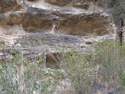 Rambla Perea-Mula 2018